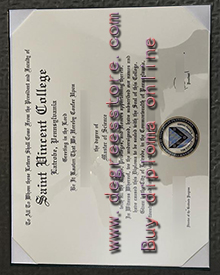 Saint Vincent College degree