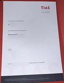 TIAS School for Business and Society diploma sample
