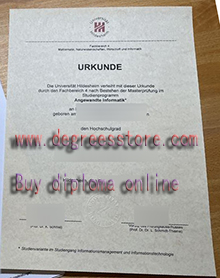 Universität Hildesheim Urkunde