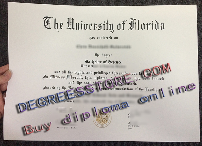 University of Florida degree