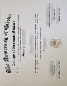 University of Toledo diploma sample