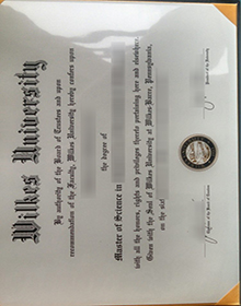 Wilkes University degree