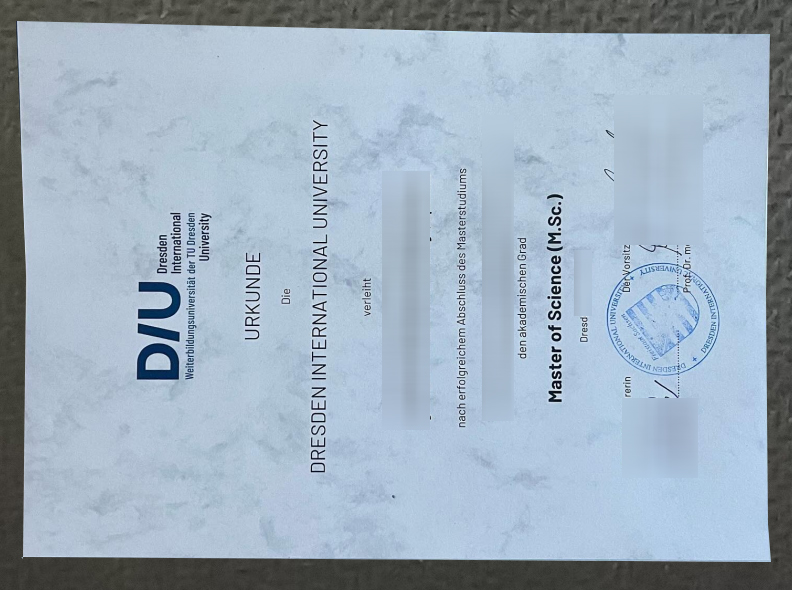 Dresden International University Urkunde