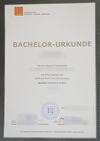 Hochschule für Gesundheit Soziales und Pädagogik Urkunde