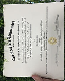 Northeastern University diploma