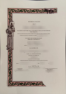 Università degli Studi di Roma Tor Vergata degree