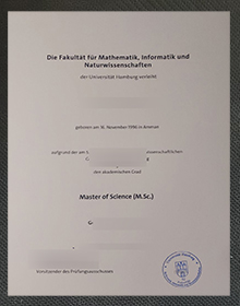 Universität Hamburg Urkunde