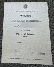 Universität Hildesheim urkunde