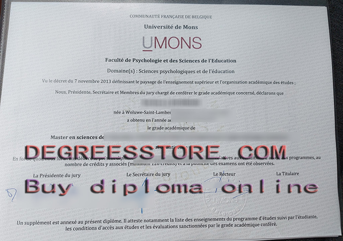 Université de Mons diploma