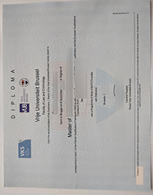 Vrije Universiteit Brussel diploma, VUB diploma