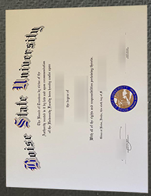 Boise State University degree sample