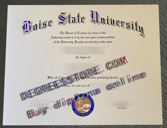 Boise State University degree