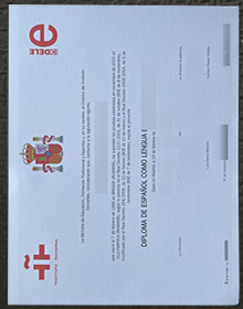 Dele Certificate sample