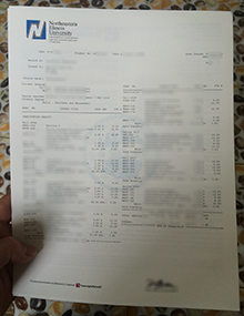 Northeastern University of Illinois transcript sample