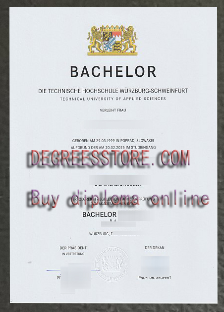 Technische Hochschule Würzburg-Schweinfurt urkunde