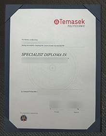 Temasek Polytechnic diploma sample