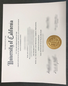 UCLA diploma, University of California, Los Angeles degree sample