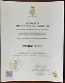 University of Guelph degree sample