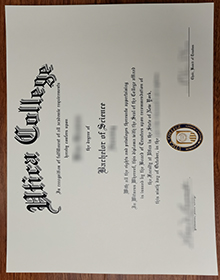 Utica University degree sample