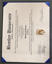 Bentley University degree sample
