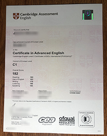 Cambridge C1 Certificate sample