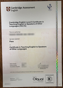 Cambridge CELTA certificate