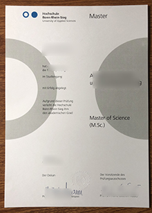 Hochschule Bonn-Rhein-Sieg Urkunde sample