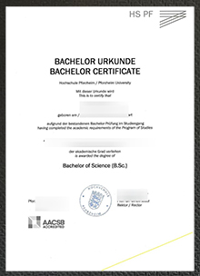 Hochschule Pforzheim Urkunde