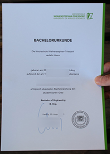 Hochschule Weihenstephan-Triesdorf urkunde sample