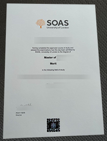SOAS degree