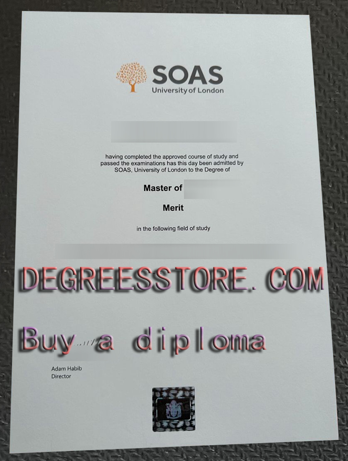 SOAS degree