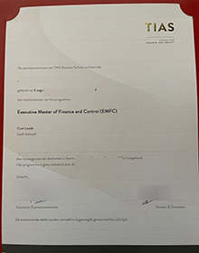 TIAS School for Business and Society diploma