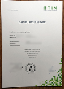 Technische Hochschule Mittelhessen Urkunde sample