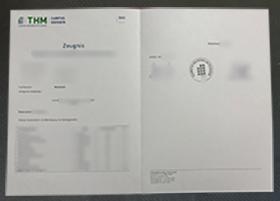 Technische Hochschule Mittelhessen Zeugnis, THM transcript sample