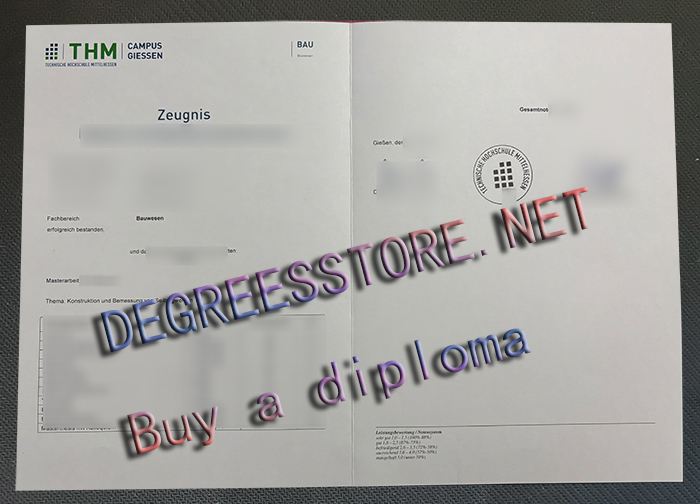 Technische Hochschule Mittelhessen Zeugnis, THM transcript