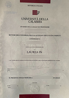 Università della Calabria laurea