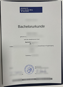 Universität Duisburg-Essen Urkunde, Universität Duisburg-Essen diploma sample