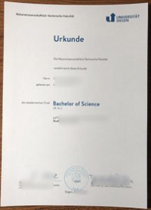 Universität Siegen Urkunde, Universität Siegen diploma sample