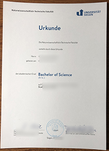 Universität Siegen Urkunde, Universität Siegen diploma sample