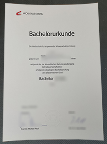 Hochschule Coburg Urkunde sample