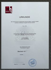 Hochschule Landshut Urkunde sample