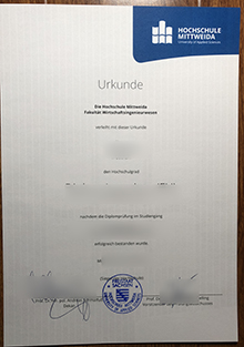 Hochschule Mittweida Urkunde sample