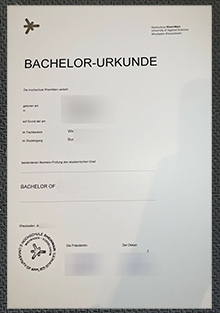 Hochschule RheinMain Urkunde sample
