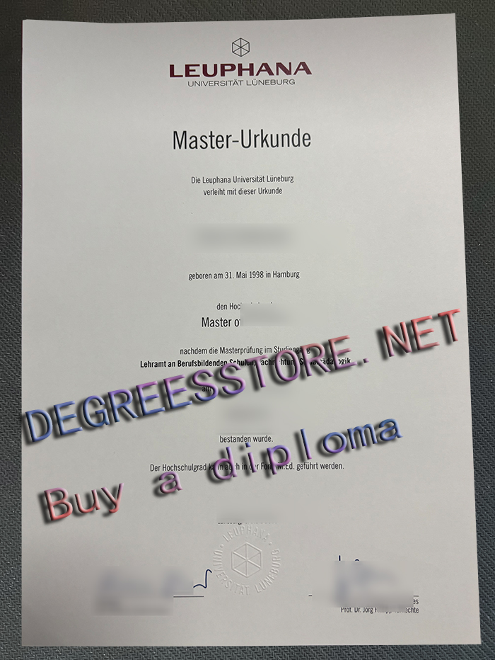 Leuphana Universität Lüneburg Urkunde