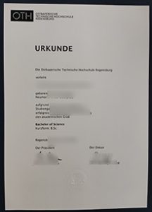 OTH Regensburg Urkunde, OTH Regensburg diploma
