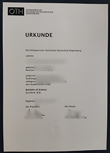 OTH Regensburg Urkunde, OTH Regensburg diploma