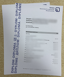 Ostfalia Hochschule für angewandte Wissenschaften Academic record sample