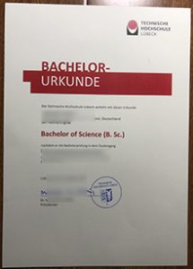 Technische Hochschule Lübeck Urkunde sample