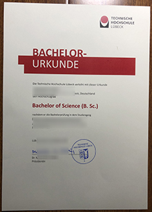 Technische Hochschule Lübeck Urkunde sample