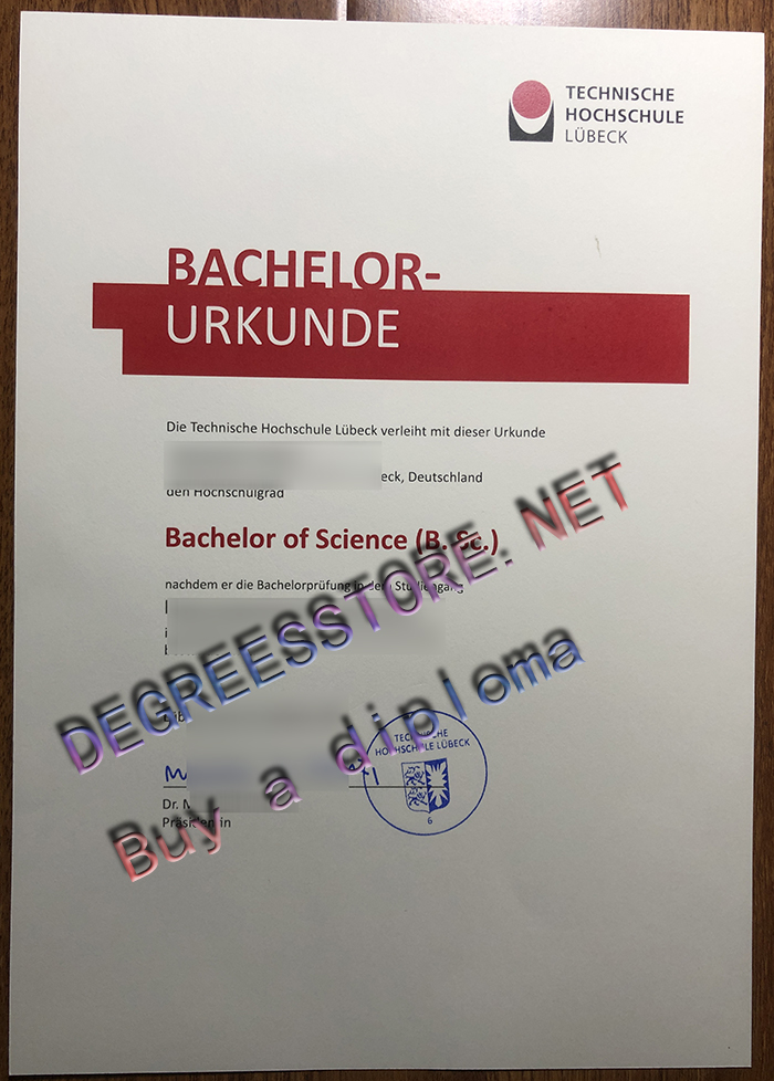 Technische Hochschule Lübeck Urkunde，TH Lübeck diploma